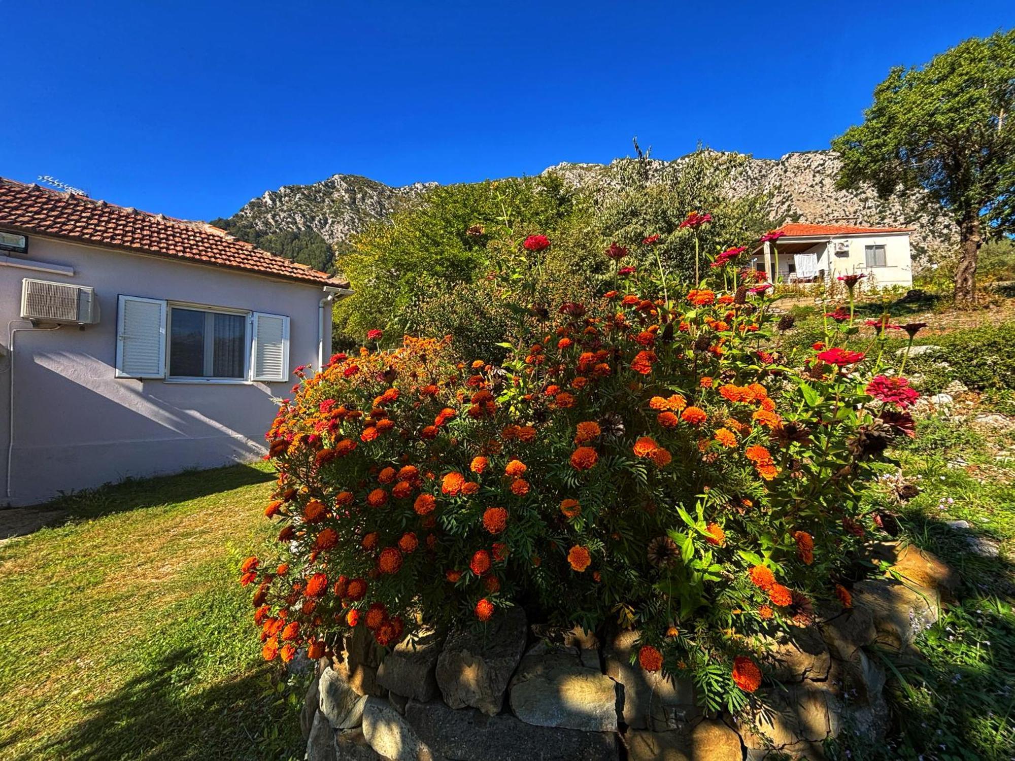 Georgaras Accommodation Platanoussa Eksteriør bilde